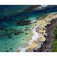 thumbnail image 2 of Talbot Frank, Christopher 14x12 Gold Ornate Wood Framed with Double Matting Museum Art Print Titled - Hawaii, Kauai A coral reef on the Na Pali coast, 2 of 4