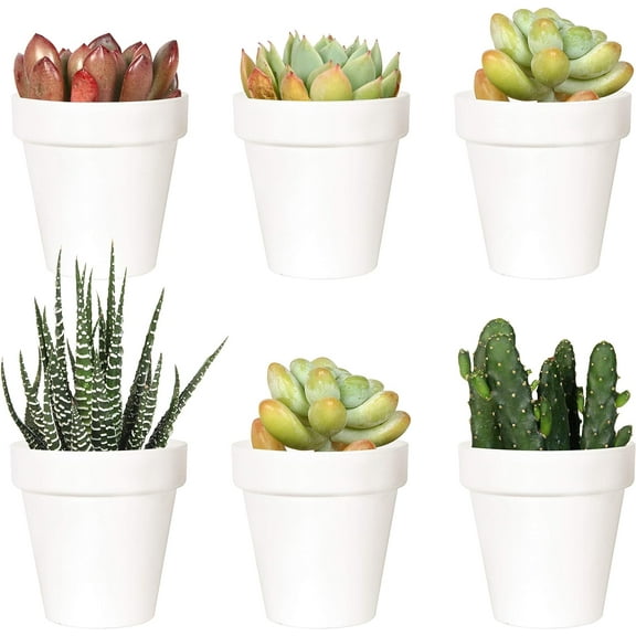 Youngever 10 Pack 3 Inch Mini Plastic Planters Indoor Flower Plant Pots, White Gardening Pot with Drainage for All House Plants, Flowers, Herbs, Succulents, NO Plant Included (Classic)