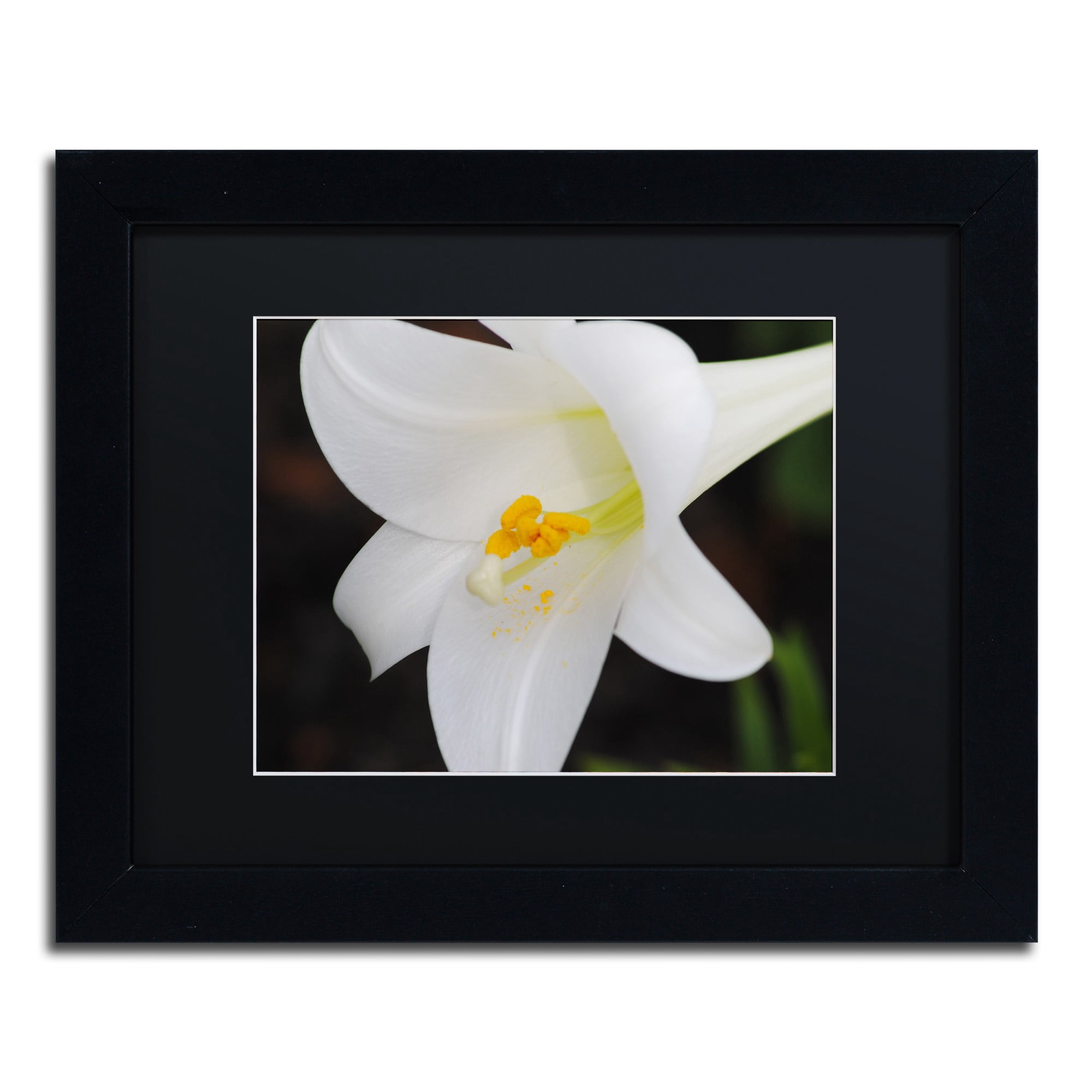 Trademark Fine Art "Easter" Canvas Art by Monica Mize, Black Matte, Black Frame