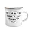 thumbnail image 2 of I Just Want to Be a Stay at Home Himalayan Mom. 12oz Camper Mug, Himalayan Cat Present From Friends, Inspirational For Cat Lovers, 2 of 2