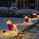 thumbnail image 5 of Teissuly Christmas Lighted Animals, Glittering Animals With Strip Lights For Outdoor Patio Decoration, Artificial Pre-lit Christmas Decorative LED Lights Teissuly WER202310160557, 5 of 6