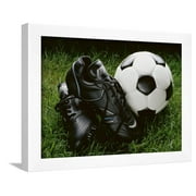 Soccer Still Life, Framed Art Print Wall Art Sold by ArtCom