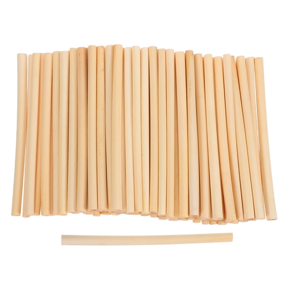 Luxshiny 100Pcs Mason Bee Nesting Tubes Reed for Breeding in Bee House