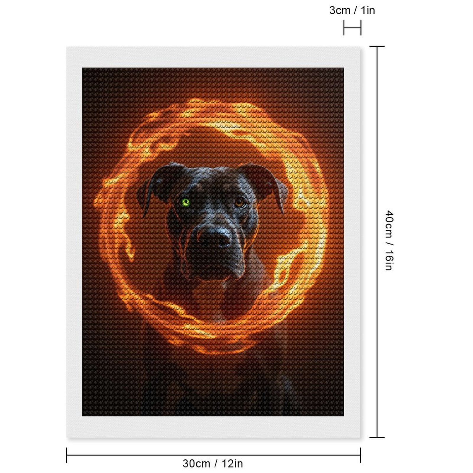 Diamond Art Kits for Adults, Fiery Canine Mystical Aura 5D Diamond Painting Kits for Adults Beginners, DIY Full Drill Diamond Painting, Gem Art and Crafts 12x16