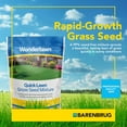 thumbnail image 2 of Barenbrug Wonderlawn Quicklawn Grass Seed Mix - Lawn Care - 10 lbs, 2 of 6