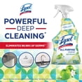 thumbnail image 2 of Lysol® All Purpose Cleaner Trigger - Brand New Day™ Apple Blossoms, Powerful Cleaning & Freshening, 2 of 6