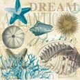 thumbnail image 3 of Allen, Candace 15x15 Black Modern Framed Museum Art Print Titled - Dream Shells R1, 3 of 5