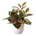 thumbnail image 1 of fastboy Artificial Potted Plant Leaf Simulation Leaves Home Office Desktop Greenery Decoration, Plant Type 15, 1 of 7