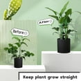 thumbnail image 4 of 3 Pack Small Plant Support Plant Stakes, Adjustable Garden Single Stem Support Stake, Planter Support Ring for Orchid, Rose, Peony, Peppers and More, 4 of 6