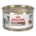 thumbnail image 1 of Royal Canin Veterinary Recovery Cat And Dog Nutrition 150 g, 1 of 4
