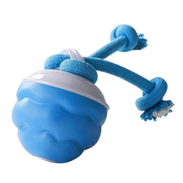 Rechargeable Interactive Dog Toy Ball, Motion Activated Rolling Ball for Small Pet Dog, Indoor Outdoor Training & Boredom Buster