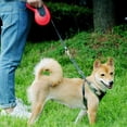 thumbnail image 3 of Retractable Dog Leash, Dog Walking Leash For Small To Large Dogs _jiue, 3 of 5