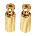 thumbnail image 2 of QualitChoice 2 Pcs Clous de Pont Tremolo Réglage Élévateur de Guitare Vis Pièces de Rechange Outils de Réparation Vis de Levage, 2 of 6