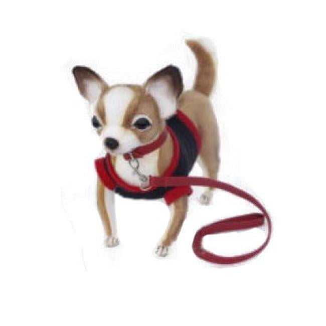 hansa chihuahua
