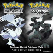 NDS Game US Version of Pokomon Black and White DS for NDS NDSI 3DS