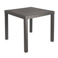 thumbnail image 1 of Mesa Cuadrada Desarmable La Ardilla Estilo Rattan Gris Humo Para Exteriores e Interiores, 1 of 5