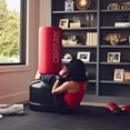 Century Punching Bag, The Original Wavemaster Red