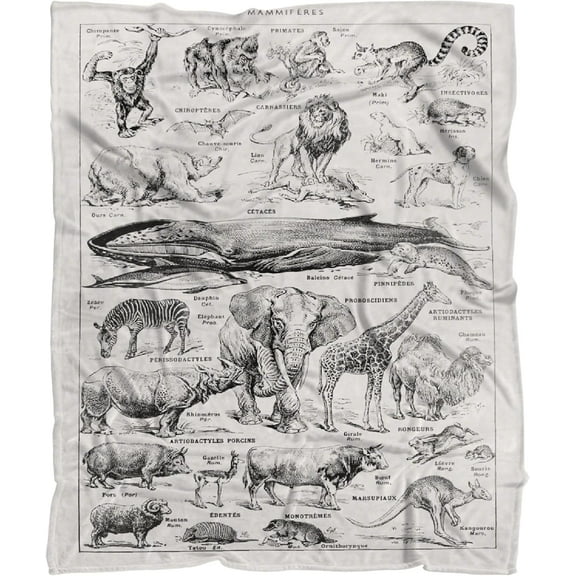 Vintage Insects Blanket Retro Illustration Throws Gift for Boys Girls, Wild Animal Decor Plush Soft Lightweight Flannel Fleece Blankets for Bed Couch Chair 50x40In Kid