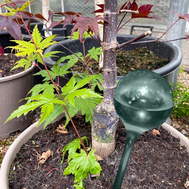 Bebedero De Plantas Riego por goteo en forma de bola transparente para plantas de PVC para interiores (azul humo)