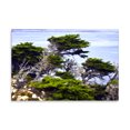 thumbnail image 2 of Gango Home Decor North Point 1 by Alan Hausenflock (Printed on Paper); One 36x24in Fine Art Paper Giclee Print, 2 of 4