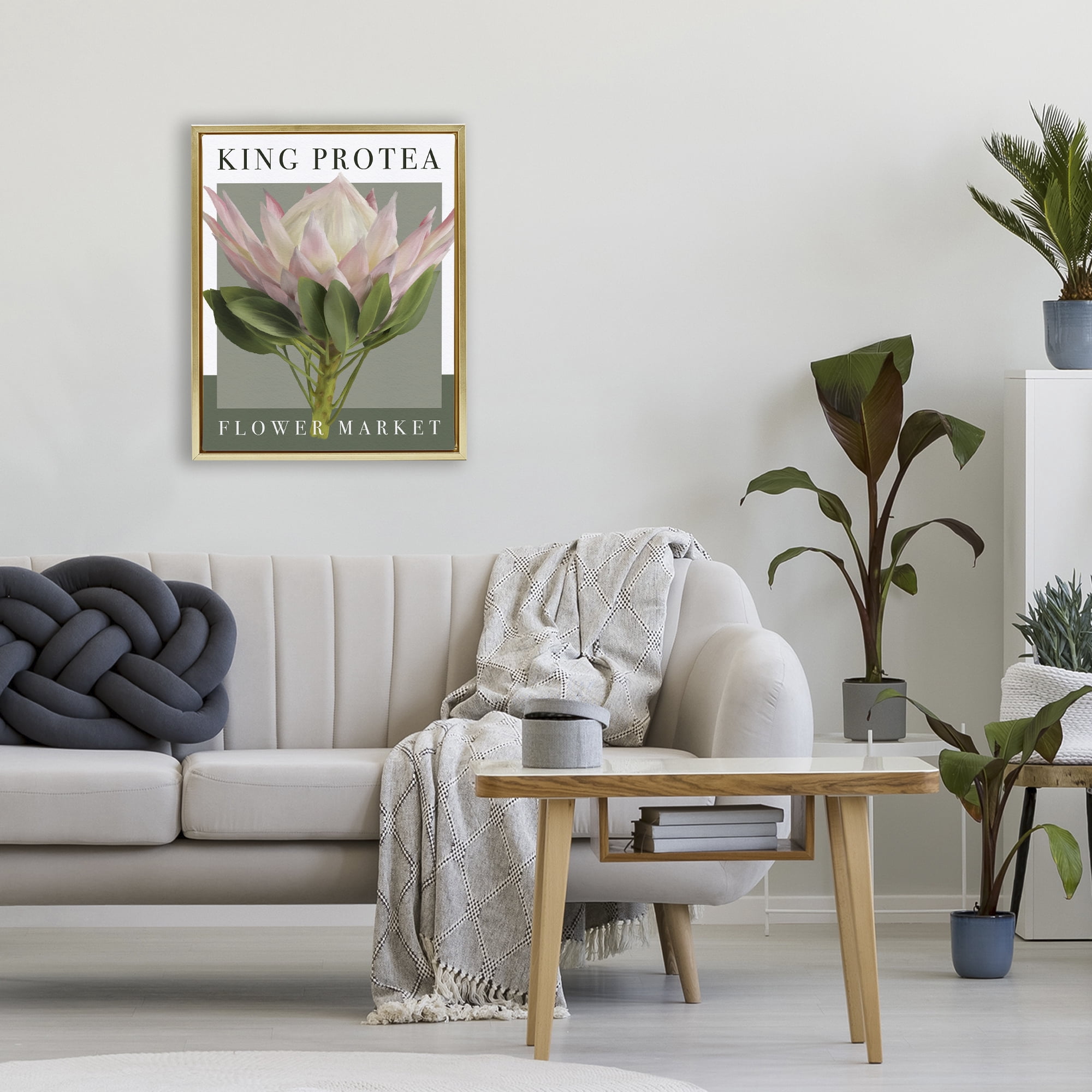 Stupell Industries King Protea Flower Market Gold Framed Floater Canvas Wall Art, design by Jennifer Stith