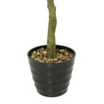 thumbnail image 6 of DecMode 61" Artificial Weeping Fig Tree in Realistic Leaves and Black Melamine Pot, 6 of 9