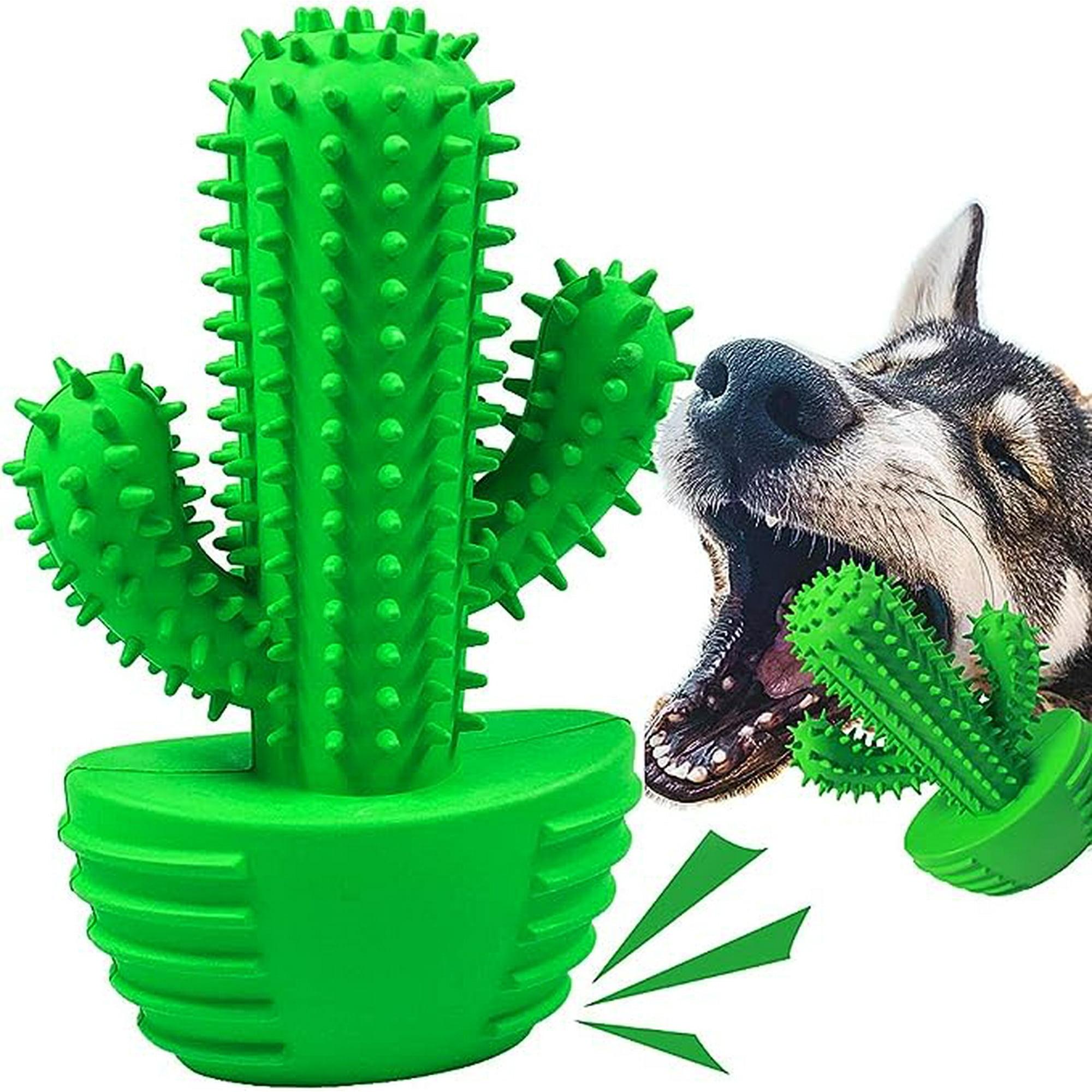 Dog brush stick discount