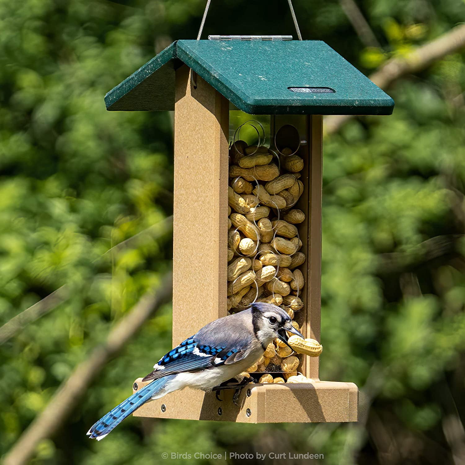 Birds Choice Recycled Jay Bird Feeder
