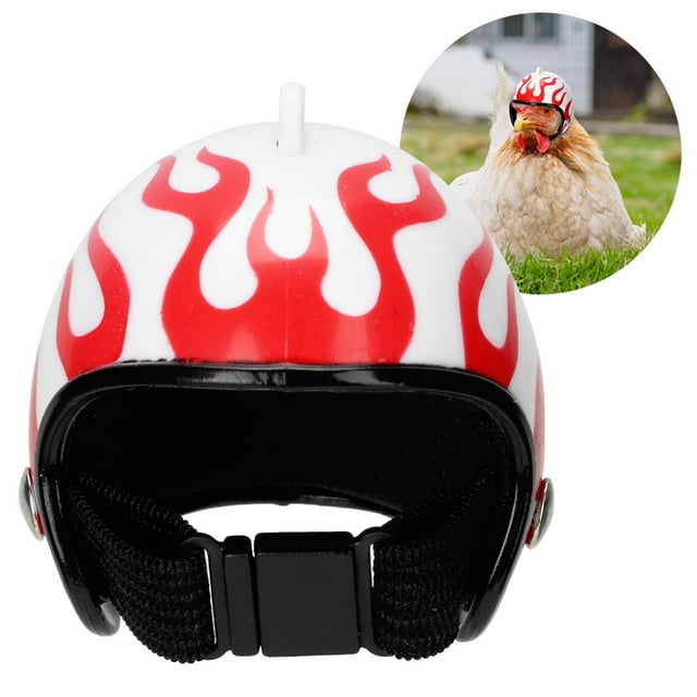 Sombrero para mascotas NikouMX casco de pollo protección divertida tecnología de vanguardia