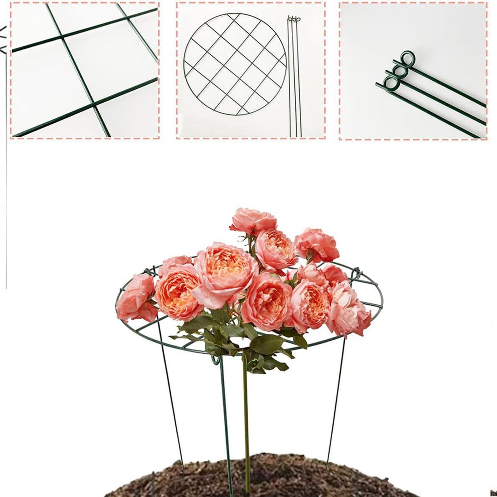 oshhni 3 Pieces Peony Cages and Supports Metal for Hydrangea Vegetables Tall Plants Grids