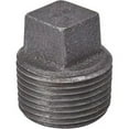 thumbnail image 1 of B & K 521-808HN 2 in. Black Pipe Plug, 1 of 2
