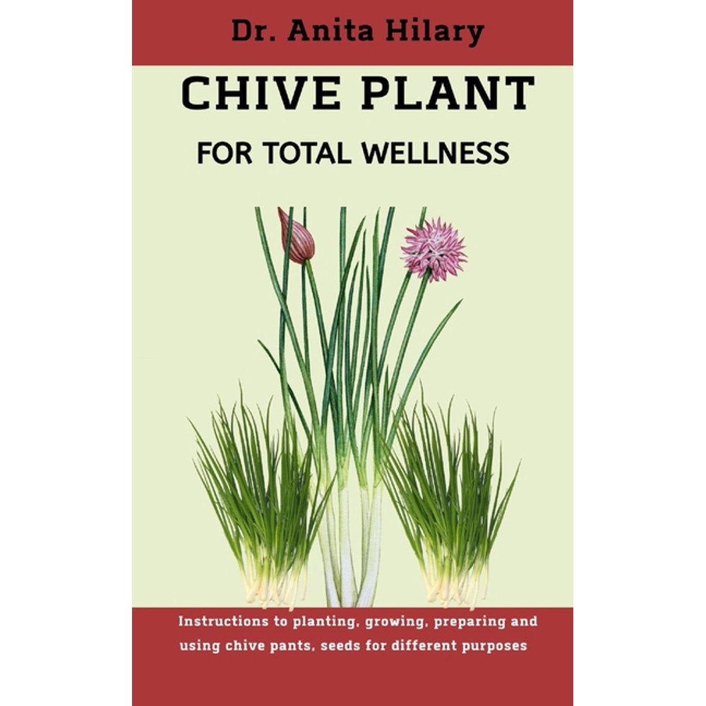 Chive Plant for Total Wellness Instructions to Planting