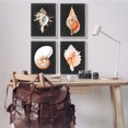 thumbnail image 2 of Stupell Industries Sea Shell Clam Conch Collection Realistic Illustration ,16 x 20, Design by Michael Willett, 2 of 7