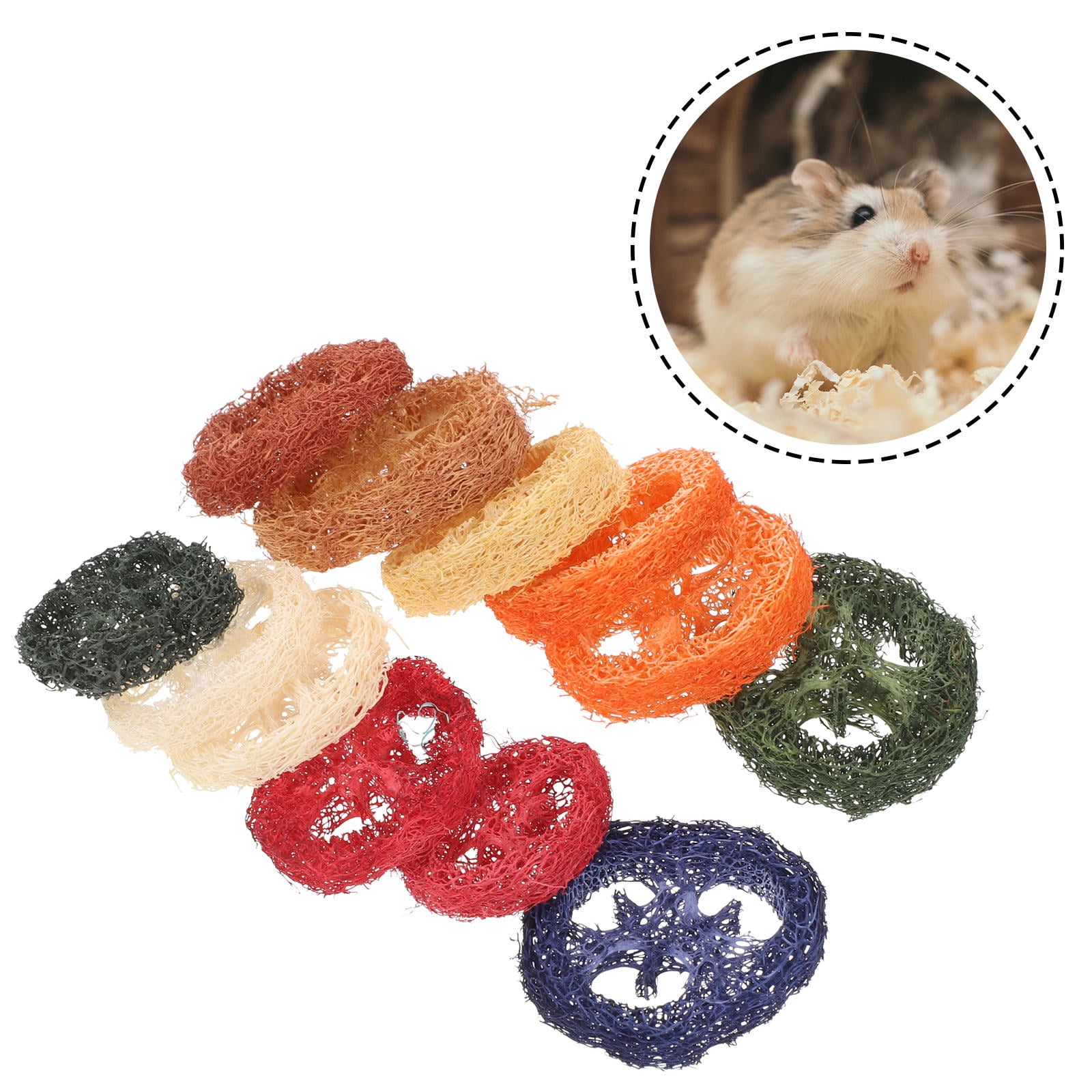 OULII 12pcs Guinea Pig Chew Toys Loofah Hamster Care Chews for Small Animals