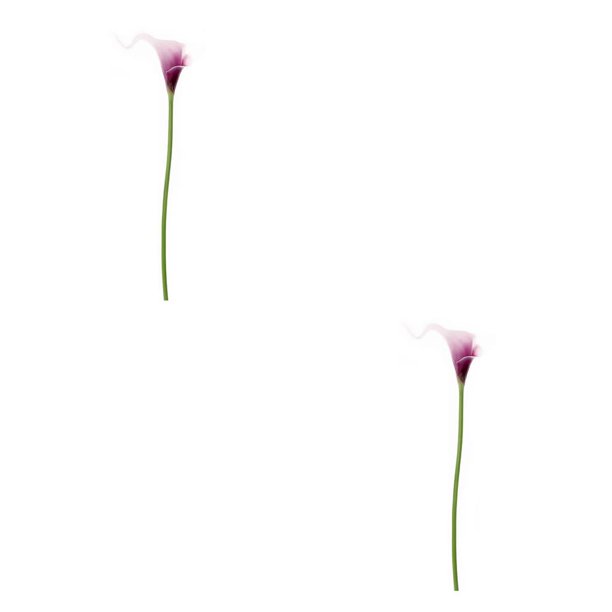 Billuyoard 1 Uds. De lirio de cala Artificial, decoración para el hogar y la Oficina, flor falsa de PU, flor para ceremonia de boda, decoración de blanco morado PC 1 2piezas Billuyoard CBP266450