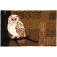 thumbnail image 1 of Home Fires PY-PB045 22 Pouces x 34 Pouces Accents Rétro Hiboux Tapis d'Intérieur - Brun, 1 of 1