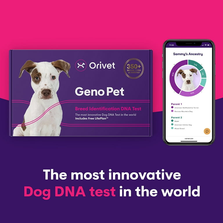 Orivet Geno Pet Dog Breed ID DNA Test