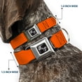 thumbnail image 2 of Buckle-Down Pet Collar, Dog Collar Metal Seatbelt Buckle, Neon Orange, 11 to 16.5 Inches 1.0 Inch Wide, 2 of 8
