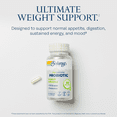 thumbnail image 3 of Solaray Mycrobiome Weight Formula | Specially Formulated for Weight Health | Supports Normal Appetite, Energy Levels & More | 50 Billion CFU | 30 ct, 3 of 6