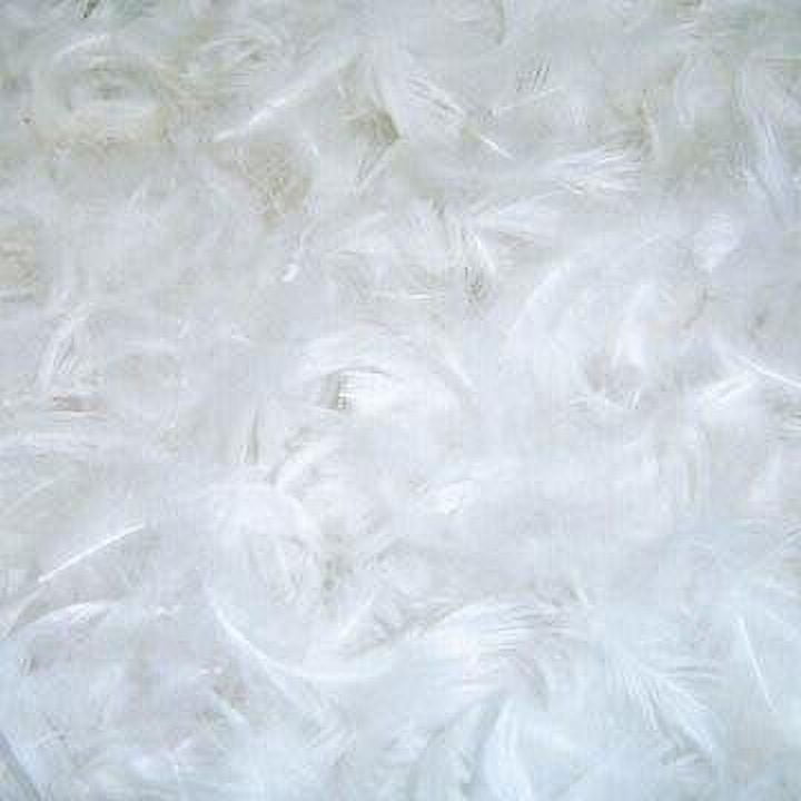Bulk Goose Down Feather Stuffing; Crafts & Pillow Repair 9oz without  packaging
