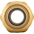 thumbnail image 4 of Jones Stephens C77422LF 0.5 x 0.75 in. FPT Bagged PlumBite Push on Reducing Adapter, Lead Free, 4 of 4