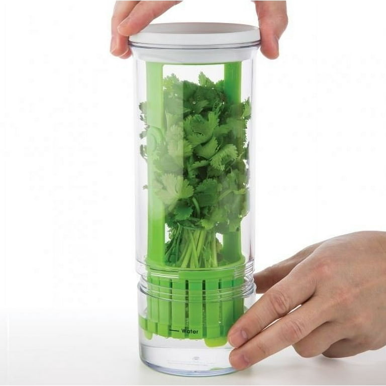 Progressive's Plastic ProKeeper Is Perfect for Storing Herbs