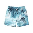 thumbnail image 2 of ITSAME Boys Swim Trunks, Fashion Print Elastic Waist Quick-Dry Summer Casual Beach Swim Shorts with Pockets Multicolor 10-11T, 2 of 7