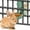 Green, variant on XiYing Hanging Pet Water Dispenser | Automatic Cage Drinking Bowl | Gravity-Fed Water Feeder for Birds, Rabbits, Hamsters & Small Animals | Easy-Clean No-Drip Design for Pet Cages & Enclosures