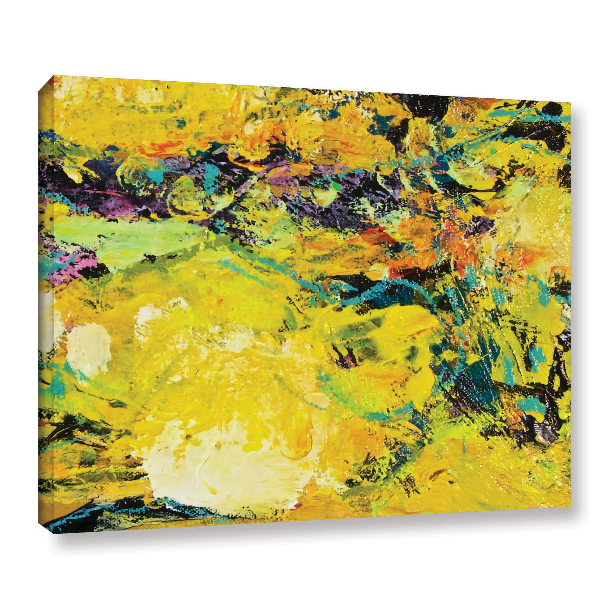 ArtWall Allan Friedlander "Watermelon Patch" Gallery-wrapped Canvas