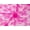 Candy Pink, variant on Minerva Deadstock Chantilly Tulle Lace Fabric Orange - per yard