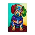 thumbnail image 1 of Dalazy Rhinestone Painting 5D Colorful Dog Pictures Crystal DIY Drawing Cross-stitch Embroidery Stitchwork Restaurant Decor, 1 of 1