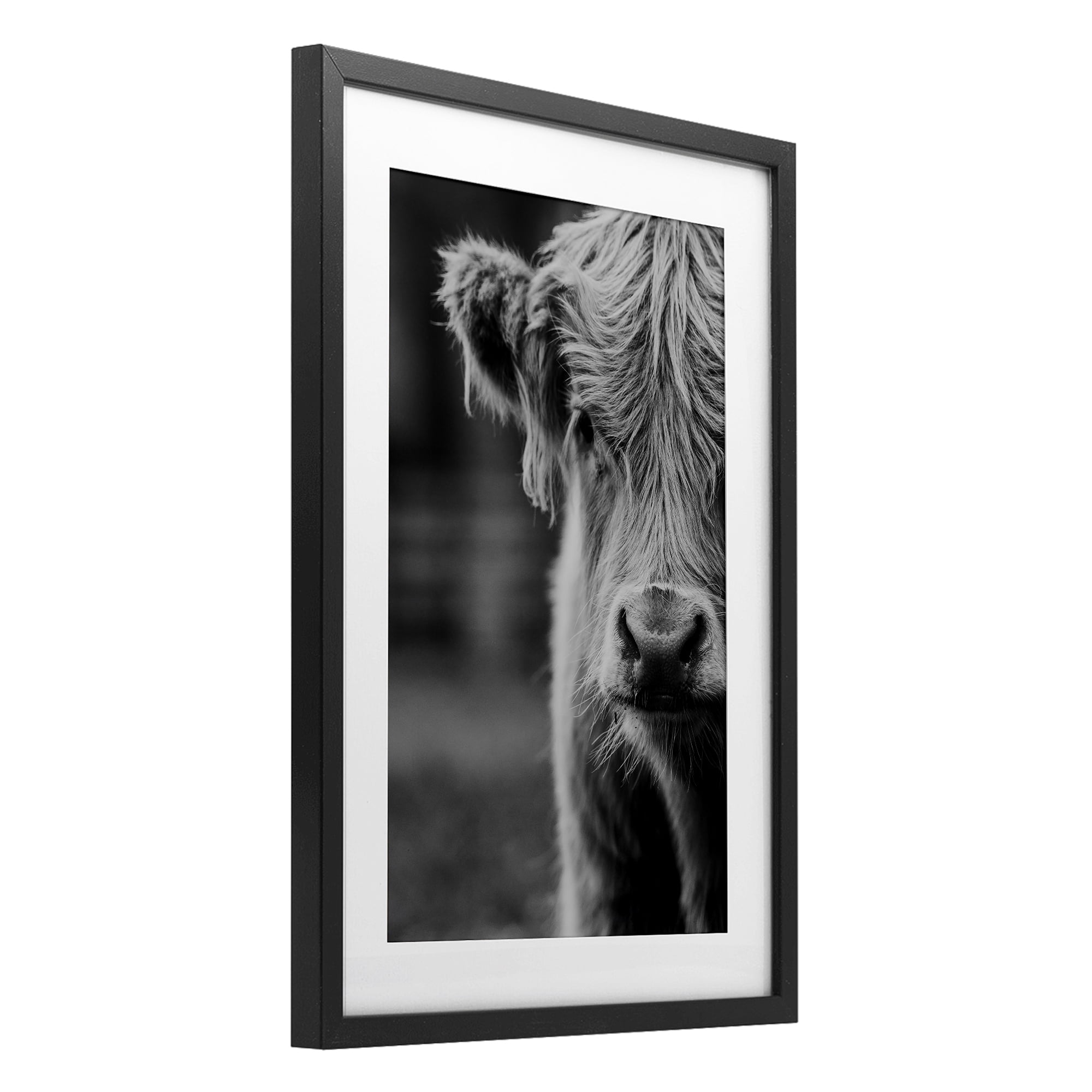 Baby Cow Face Black Framed Print Under Glass, design by Amy Carroll