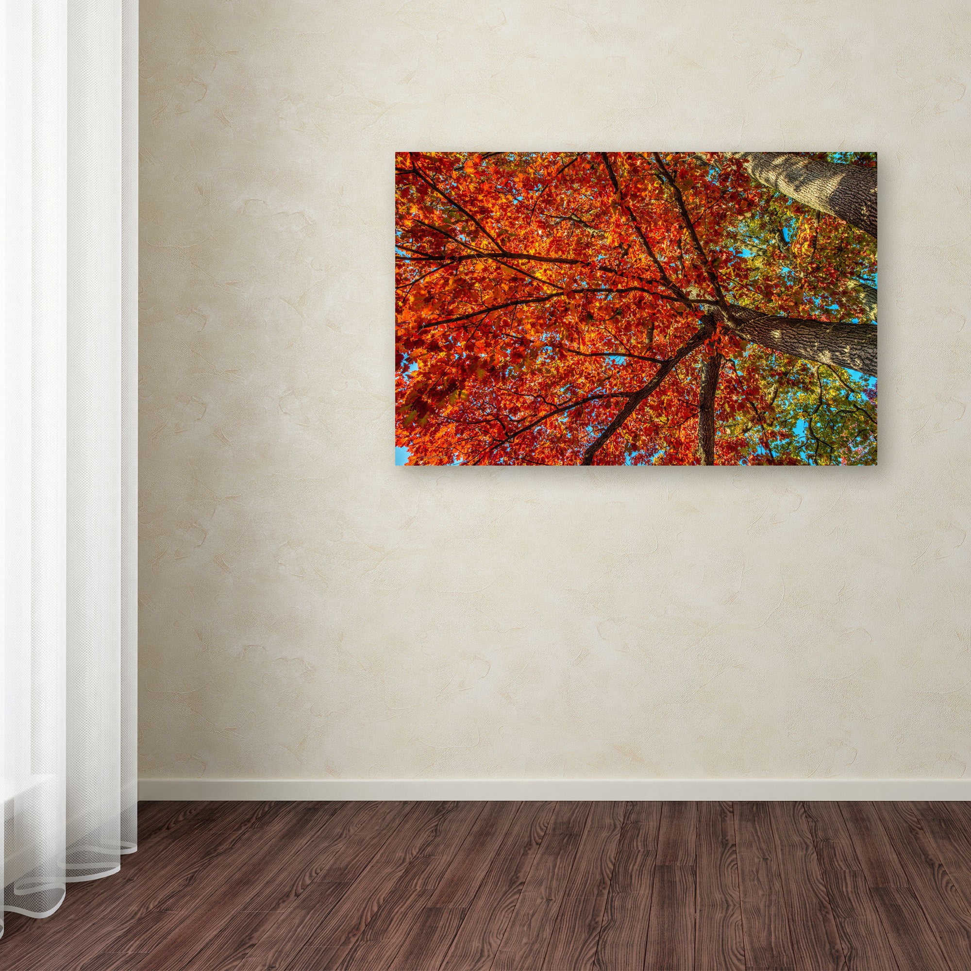 Trademark Fine Art "New York Fall-II" Canvas Art by David Ayash