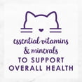 thumbnail image 6 of Fancy Feast Delights Grilled Turkey & Cheddar Cheese Feast in Gravy Wet Cat Food, 3 OZ (Pack of 24), 6 of 9